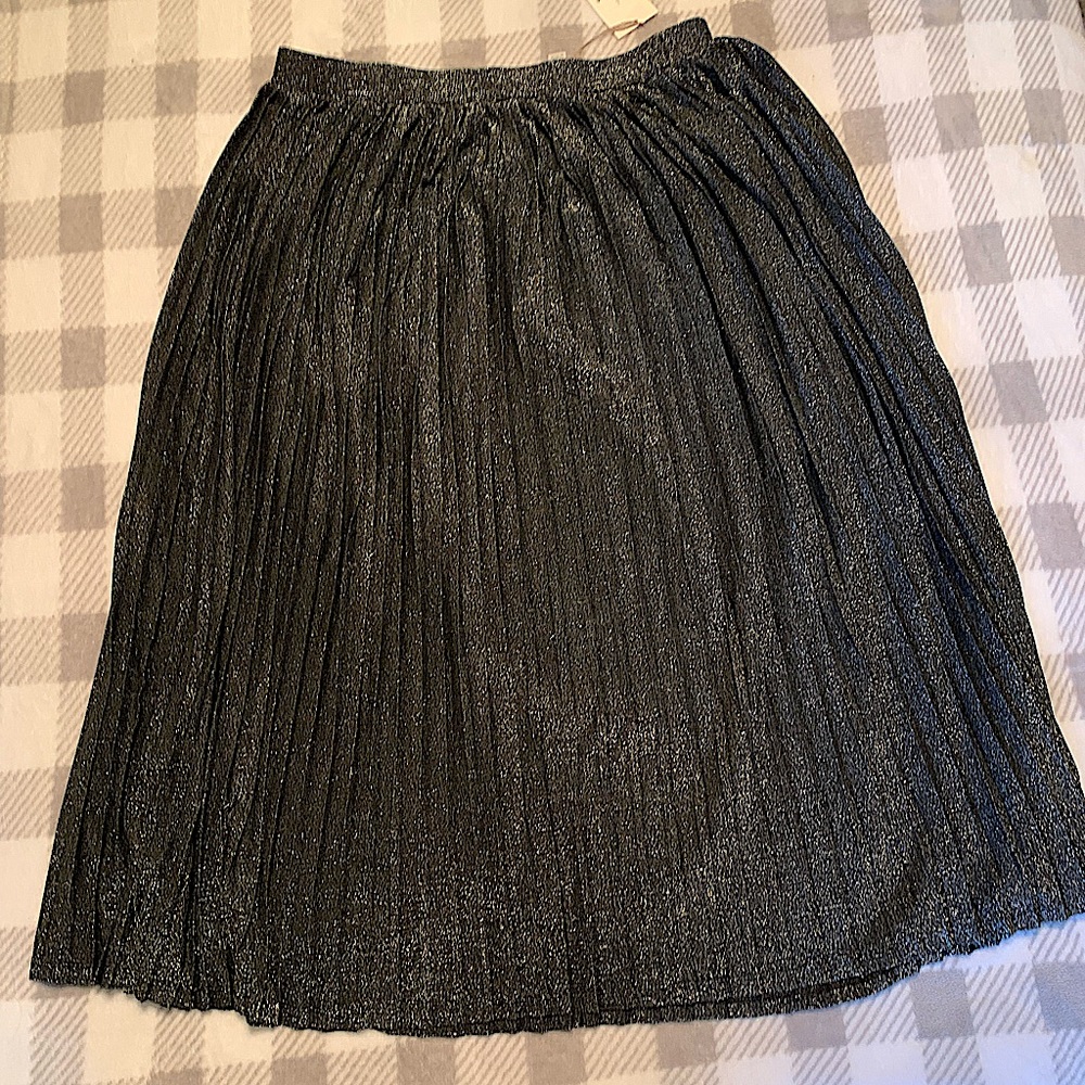 Sparkly Black Skirt - Calf length
